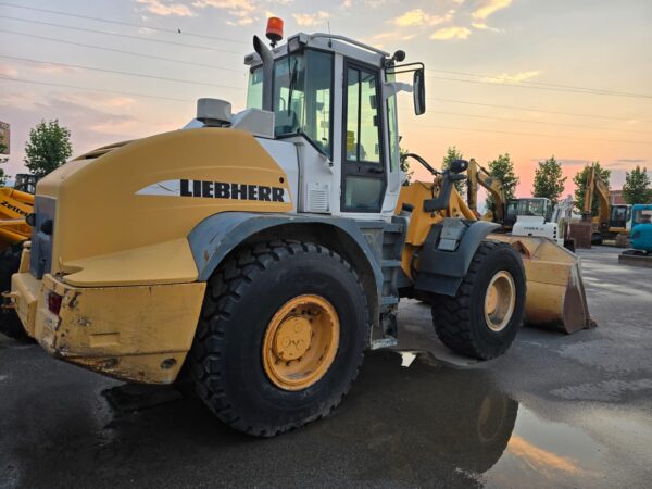 LIEBHERR 534 - LUGE NGARKUESE - Figura 2