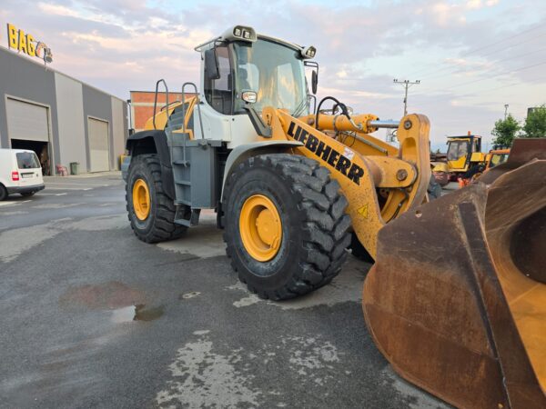 LUGE NGARKUESE LIEBHERR 580 - GOMA TE REJA - Figura 3